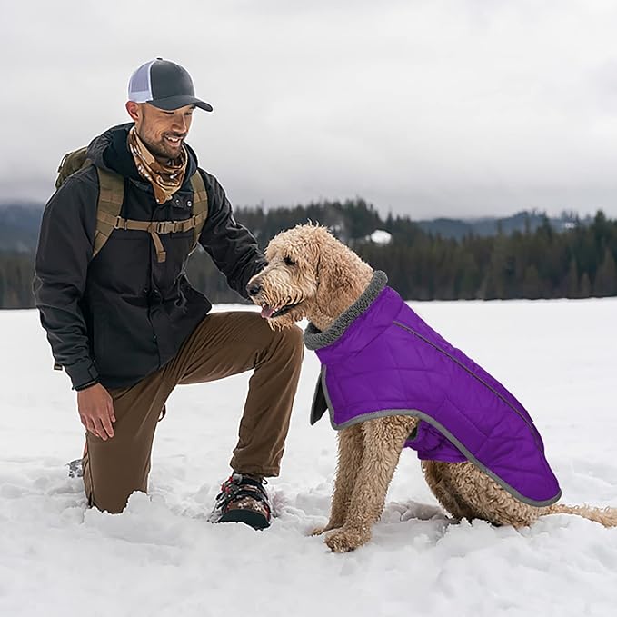 Fragralley Dog Coat Large, Waterproof Dog Jacket with Warm Fleece Lining, Adjustable Reflective Dogs Winter Coat, Turtleneck Pet Coats for Cold Weather (Purple L)