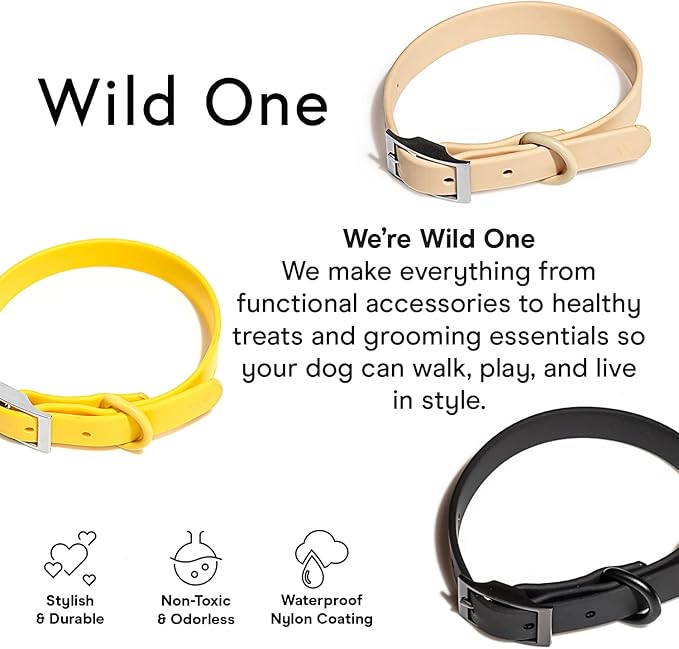 Wild One Dog Collar, The Original Easy-Clean, All Weather Flex-Poly Strap with Metal, Durable, Dirt and Odor Resistant, Size XS, Black
