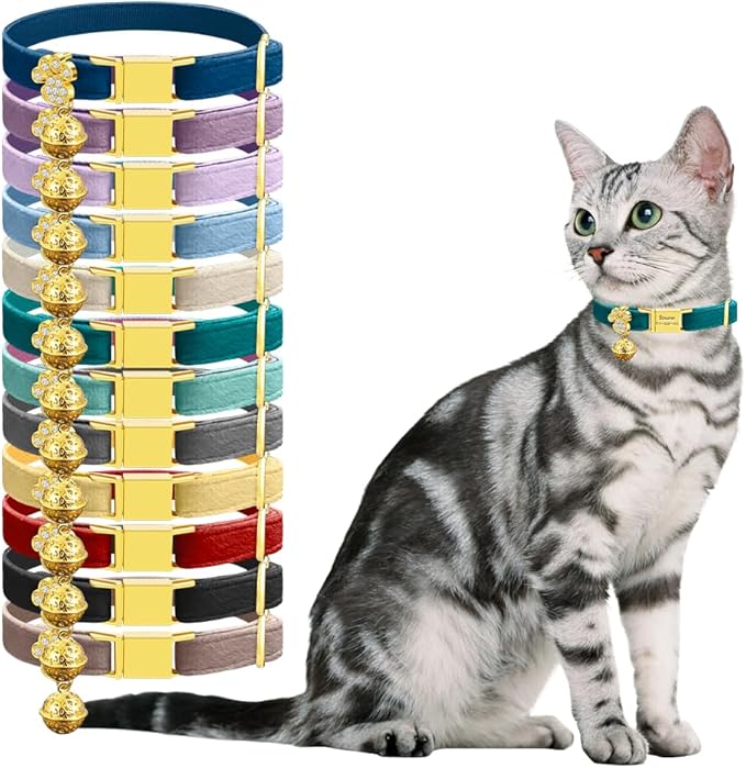 Personalized Breakaway Cat Collars - Magnetic Buckle, Bell - Safety Quick Release, Customized for Girls & Boys Cats- (Velvet-Green)