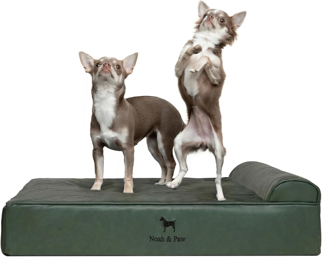 NOAH & PAW Dog Bed, 28x23x7.5 Inch, Orthopedic Dog Beds for Medium Size Pets, Eggshell Memory Foam Infused with Cooling Gel, Waterproof, Machine Washable, Includes Inner Cover (Faux Leather)