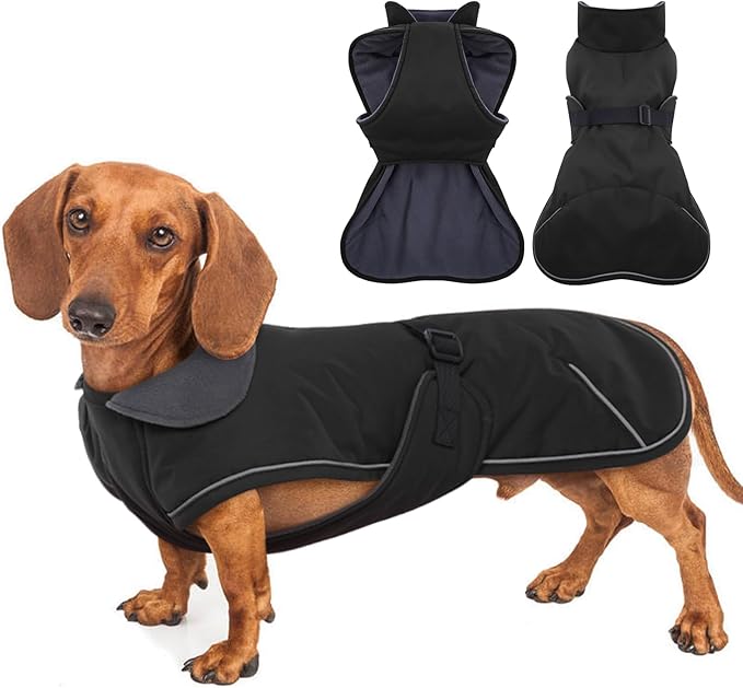 Dachshund Winter Dog Coat - Black, XLarge - Windproof Waterproof with Fleece Lining, Adjustable Buckle Closure, Snowsuit Harness Hole