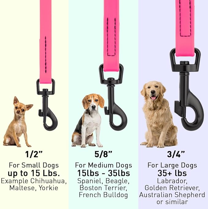 Dogline Biothane Waterproof 6ft Dog Leash Strong Coated Nylon Webbing with Black Hardware Odor-Proof Easy to Clean High Performance for Small or Large Dogs Made in USA 6ft Lead, Passionfruit Pink