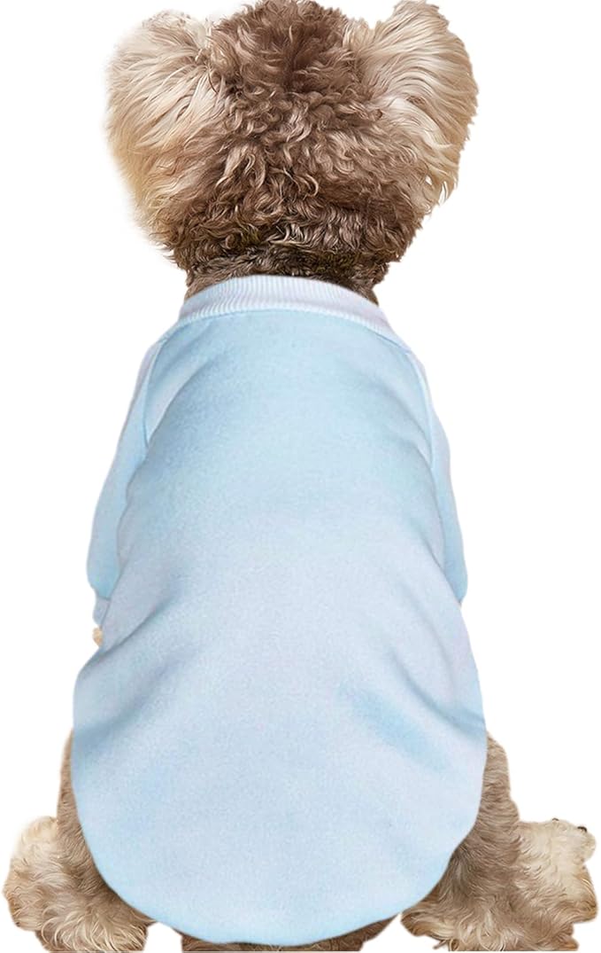 Puppy Sweater for Small Dogs Clothes Warm Winter Cat Clothe Pet Sweatshirt Knitwear Doggie Kitten Clothing, Light Blue, X-Large