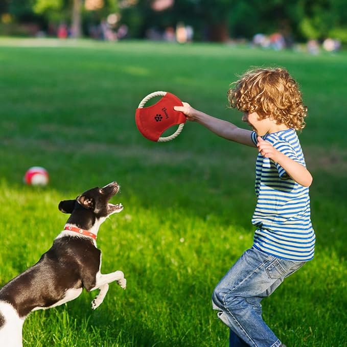 Personalized Flying Disk Dog Toy Multicolor | Custom Name Cartoon Pet Toys | Dog Toys for Large Dogs