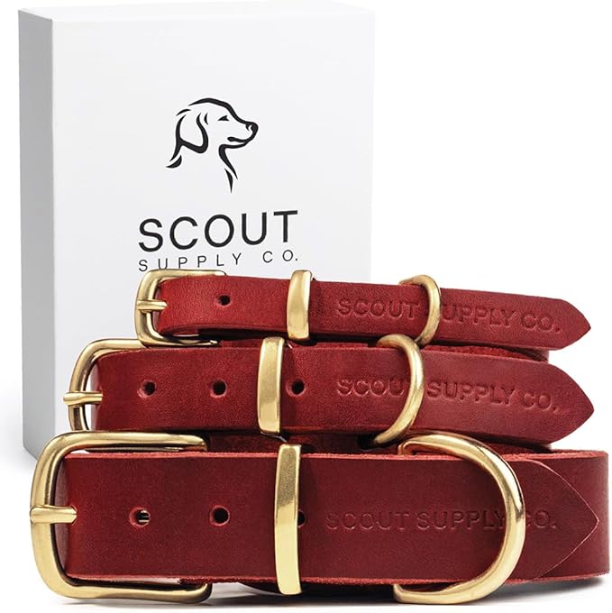 Classic Genuine Leather Dog Collar | Dog Collars for Medium Dogs, Small Dogs, Large Dogs & Extra Large Dog | Wide Dog Collar | Heavy Duty Dog Collar (Red, M: 0.8" Wide for 10.5"-13.5" Neck)