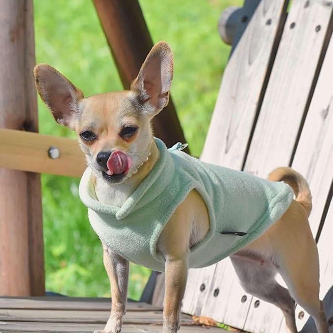 JACKO & CO - Fleece Vest Dog Sweater with Leash Ring - Soft, Warm & Lightweight Pullover Coat for Small & Medium Dogs, Puppies & Cats - Cozy Fall/Winter/Spring Pet Jacket (Mint Green, Medium 6-10lbs)