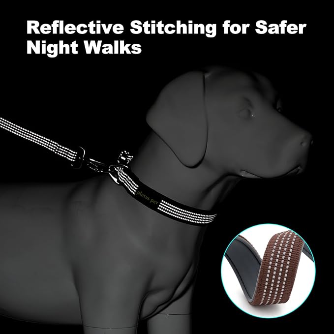 Plutus Pet Reflective Dog Collar with Aviation Aluminum Buckle, Neoprene Padded for Comfort, Lightweight, Heavy Duty Nylon Collar for Puppy Small Medium Large Dogs (Chocolate, M)