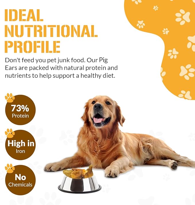Dog Chits Pig Ears for Dogs – 100% Natural Baked Pig Ear Dog Treats & Training Chews – High Protein, Lower Fat, Grain-Free – Great for Puppies, Dental Support – Medium Size, 15 Pack – Made in USA
