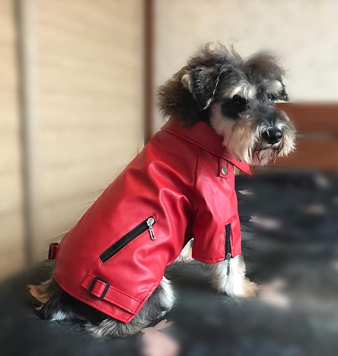 Lovelonglong Cool Dog Leather Jacket, Warm Coats Dogs Windproof Cold Weather Coats for Large Medium Small Dogs, Pomeranian Clothing Red M