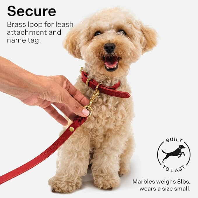 Classic Genuine Leather Dog Collar | Dog Collars for Medium Dogs, Small Dogs, Large Dogs & Extra Large Dog | Wide Dog Collar | Heavy Duty Dog Collar (Red, M: 0.8" Wide for 10.5"-13.5" Neck)