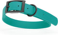 Dogline Biothane Waterproof Dog Collar Strong Coated Nylon Webbing with Black Hardware Odor- Proof for Easy Care Easy to Clean High Performance Fits Small Medium or Large Dogs, Blue Aqua