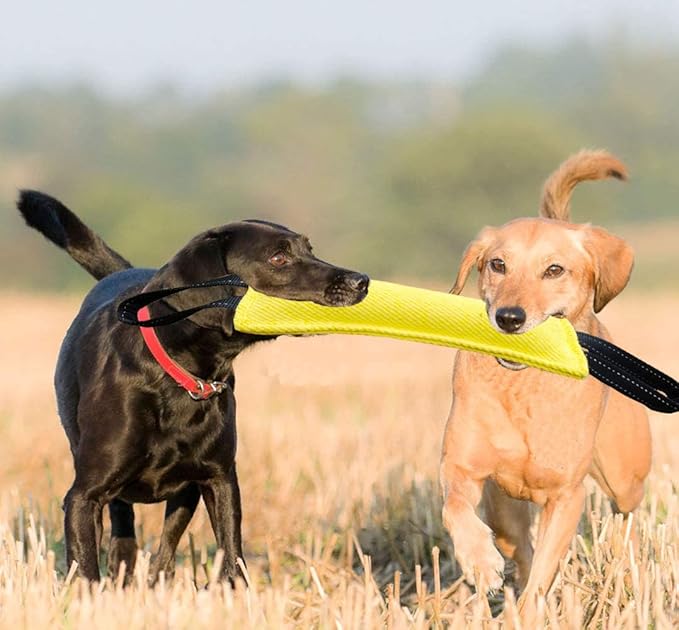 Clysrou Dog Tug Toy Tough Jute Bite Pillow Lasting Training Equipment Puppy to Large Dogs Interactive