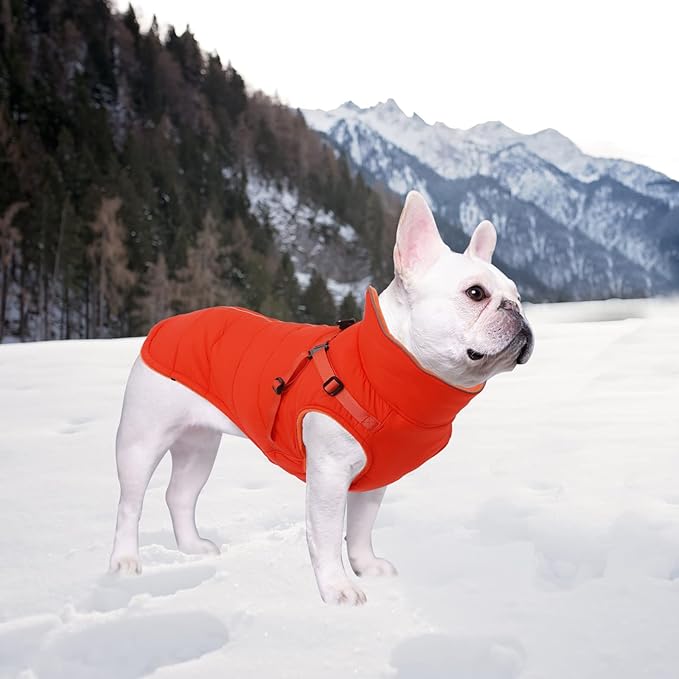 Geyecete Winter Warm Coat Waterproof Dog Winter Jacket with Harness Traction Belt,Windproof Pet Outdoor Jacket Dog Autumn-Orange-XL
