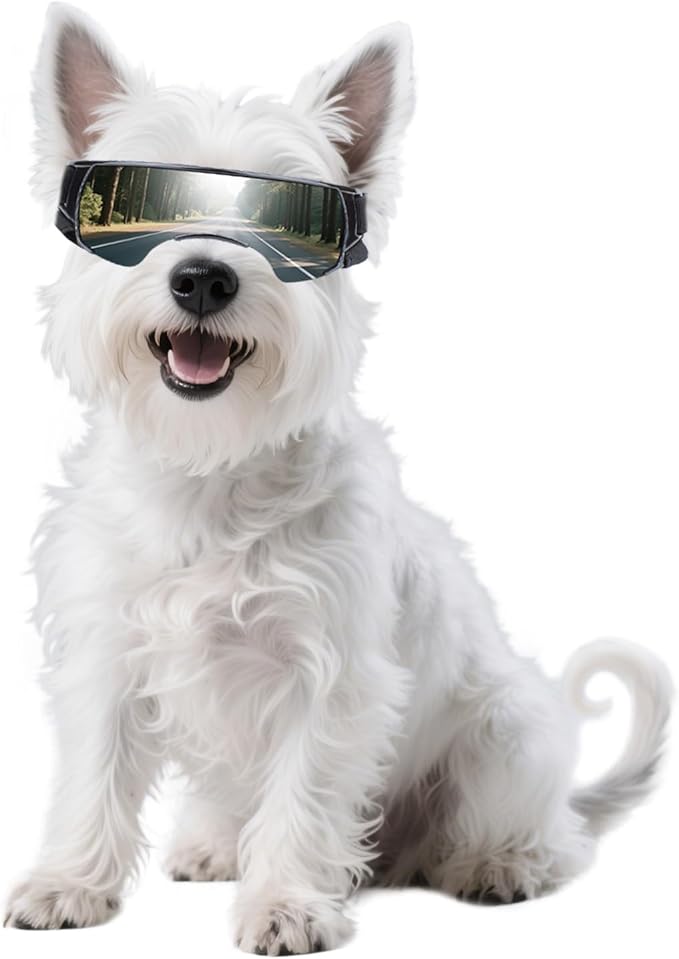 Namsan Dog Goggles Small Breeds, UV Protection Dog Glasses for Small Dogs, Puppy Sunglases Windproof Dustproof Driving Eye Protection, Adjustable, Cute Silver