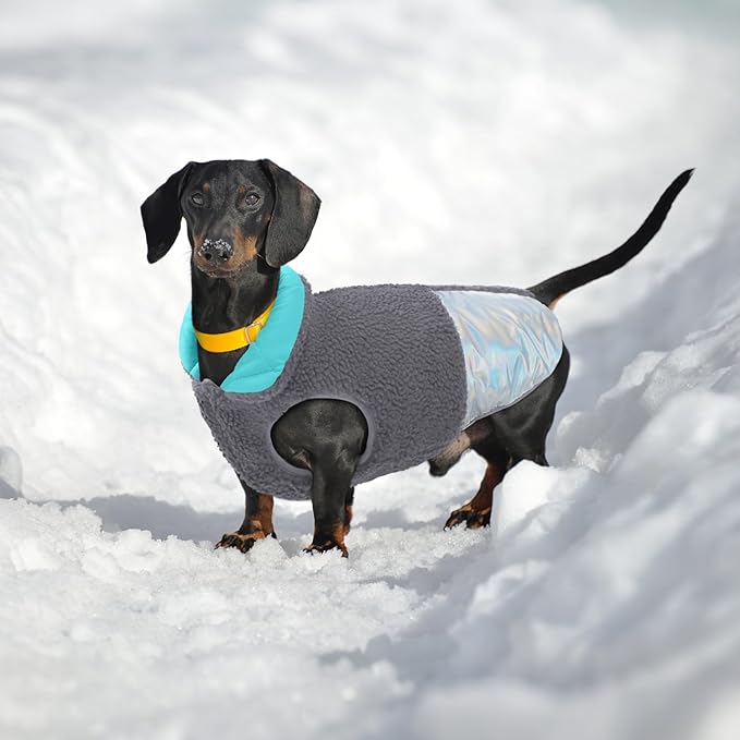 EMUST Dog Jacket, Warm Reversible Dog Winter Coat with Fleece Lining, Thick Plush Puppy Coats, Grey, XL