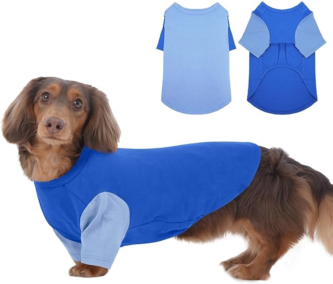 2 Pack Dog Shirt for Medium Dogs - Soft Breathable Summer Cool Tee, Lightweight Comfortable Clothes for Sensitive Skin, Jack Russell, Shihtzu, Indoor Lounging, Walking, Park Play, Blue