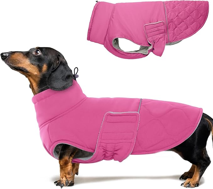 BRKURLEG Dog Winter Jacket, Warm Dog Winter Coats for Small and Medium Large Dogs, Reflective Adjustable Pet Cold Weather Coats, Waterproof Dogs Snow Jacket Clothes Fleece Vest (S, Rose Red)