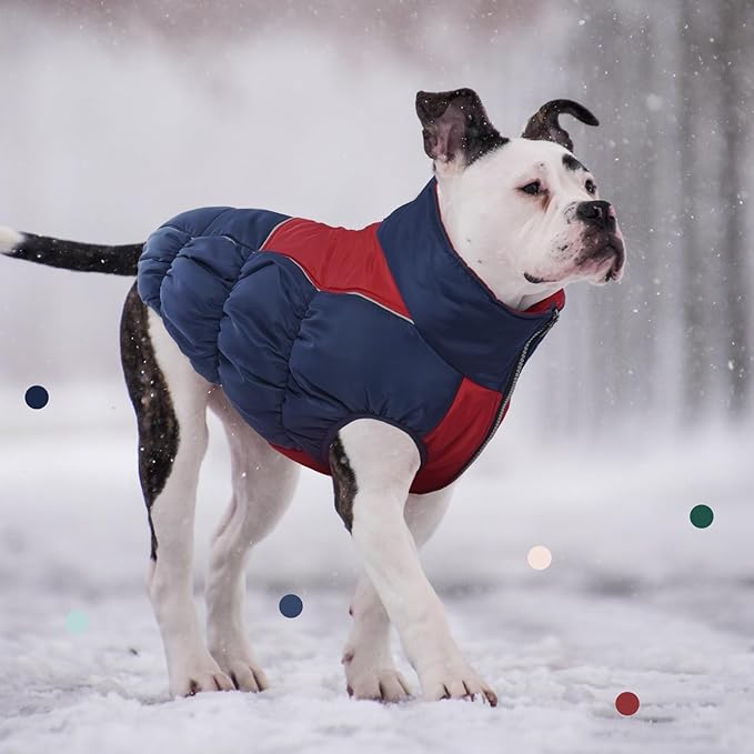 IECOii XXL Winter Coat for Large Dogs, Fleece Waterproof Jacket, Extra Large Zippered Puffer Vest for Male Female Dogs, XX-Large
