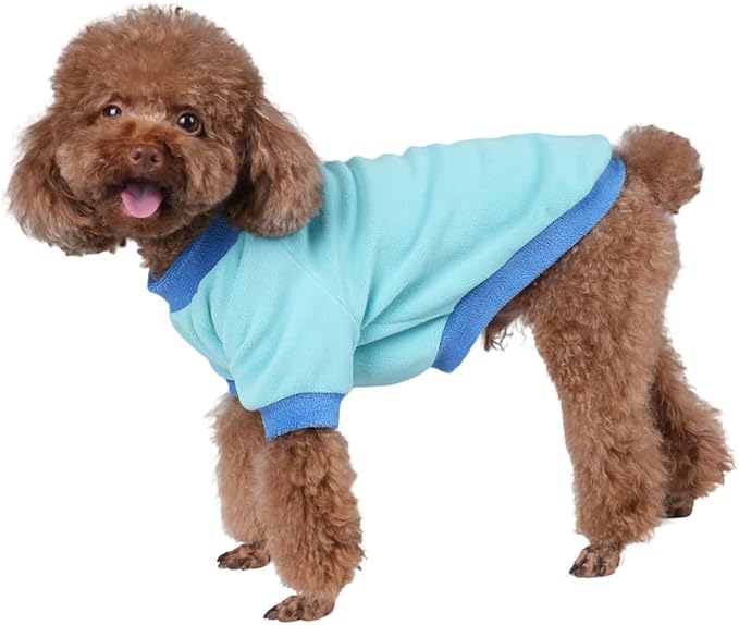 GreenJoy Classic Fleece Dog Sweater – Soft & Warm Stretchy Sweatshirt for Small Dogs & Cats, Cold-Weather Pullover for Everyday Wear (Light Blue, Large/X-Large)
