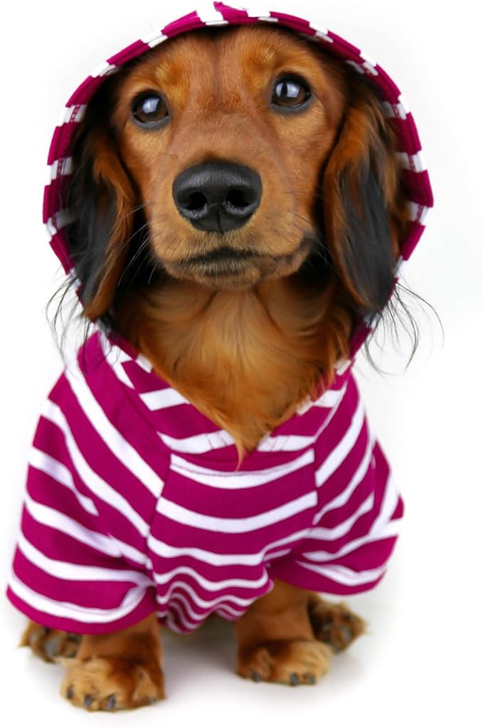 DJANGO Dog Hoodie – Warm, Lightweight, Soft & Stretchy Dog Sweater with Hood, Harness Hole & Elastic Waistband – Cozy Sweatshirt for Small Dogs up to 25 lbs, Dachshunds & Puppies – Boysenberry, Small