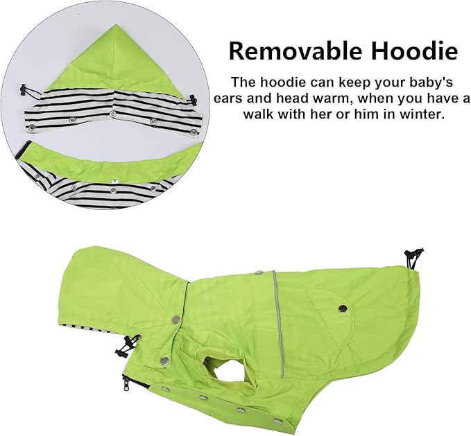 Dog Raincoat Waterproof Raincoats Dog rain Jacket Buttons Zipper Hood Drawstring Suitable for Small Medium Yorkie Terrier Schnauzer Poodle Border Collie Labrador 8lbs to 80lbs Green L