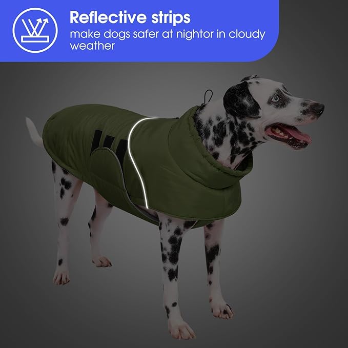 ASENKU Extra Warm Dog Coat - Winter Fleece Jacket with Reflective Adjustable Zippered Leash Hole for Medium Dogs (Green, L)