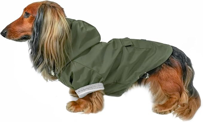 DJANGO Highland Dog Jacket & Raincoat – Water-Repellent, Lined Dog Coat with Hood, Adjustable Fit & Harness Hole – Lightweight Rain & Wind Jacket for Small & Medium Dogs up to 30 lbs (Olive, Small)