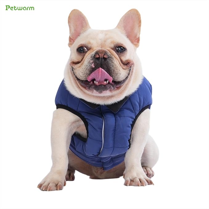 PetWarm Reversible Dog Cold Weather Coats, Waterproof Dog Puffer Vest, Vest for Dogs with Hook-and-Loop Strap, Windproof Outdoor Coat for Winter Walks and Snowy Days, Blue, L