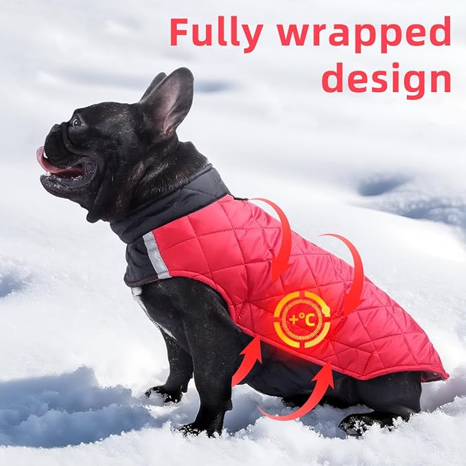 Reversible Waterproof Dog Coat - Adjustable Winter Jacket for Small to Large Breeds, Warm Cold Weather Apparel for Medium Dogs (Red & Black, Medium (Pack of 1))