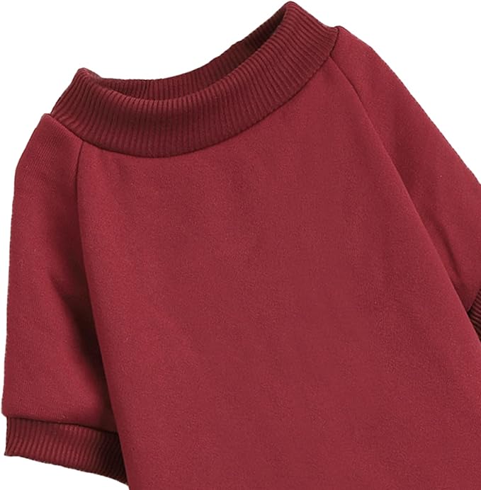 Puppy Sweater for Small Dogs Clothes Warm Winter Cat Clothe Pet Sweatshirt Knitwear Doggie Kitten Clothing, Wine, X-Small