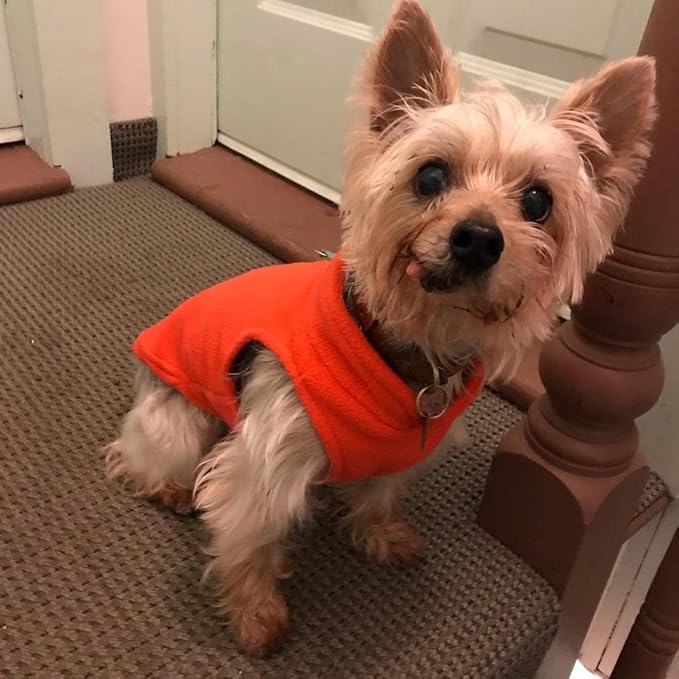 Gooby Fleece Vest Dog Sweater - Pumpkin, Small - Warm Pullover Fleece Dog Jacket with O-Ring Leash for Small to Medium Dogs