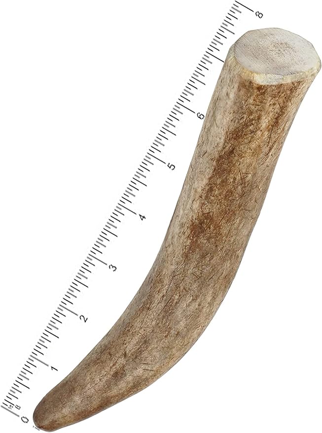Mighty Paw Split Elk Antlers for Dogs (Sourced in The USA) | 2 Whole Large 8"+ Long Lasting Bones for Aggressive Chewers - Naturally Shed Split Deer Antler for Dogs - Low Odor Chews (Pack of 2)