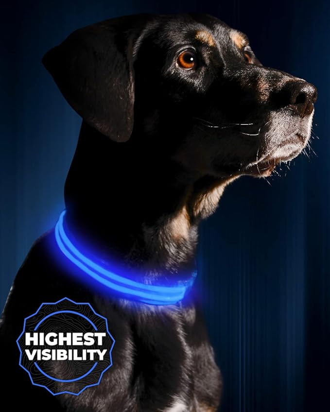 Illumiseen LED Dog Collar USB Rechargeable - Bright & High Visibility Lighted Glow Collar for Pet Night Walking - Weatherproof, in 6 Colors & 6 Sizes (Blue XX-Small)