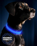 ILLUMISEEN LED Dog Collar USB Rechargeable - Bright & High Visibility Lighted Glow Collar for Pet Night Walking - Weatherproof, in 6 Colors & 6 Sizes (Blue X-Small)