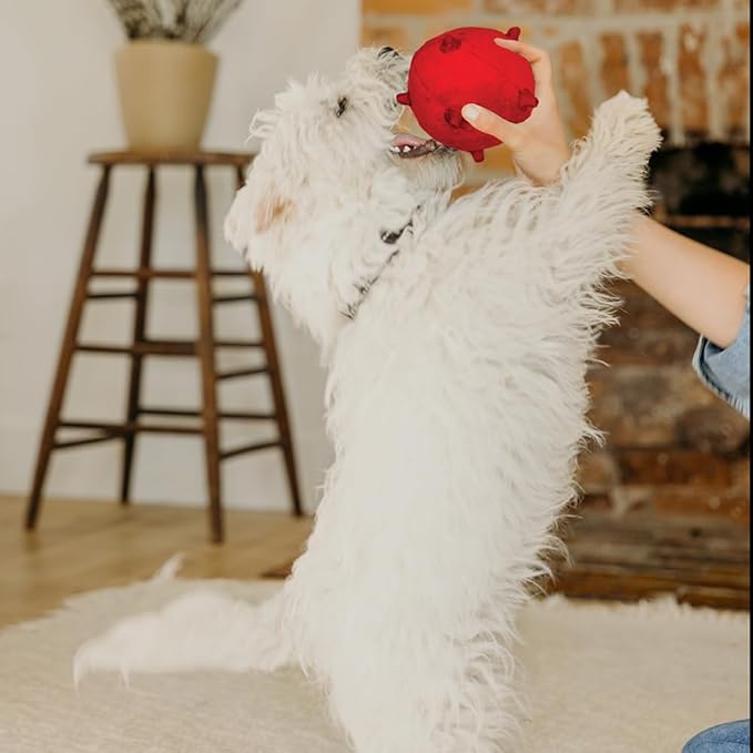 Playology Dog Toys | Puppy Toy Plush Sensory Ball for Dogs and Puppies for Dogs and Puppies | Medium Beef Scented Toy - Easy to Clean and Made from Non Toxic Materials