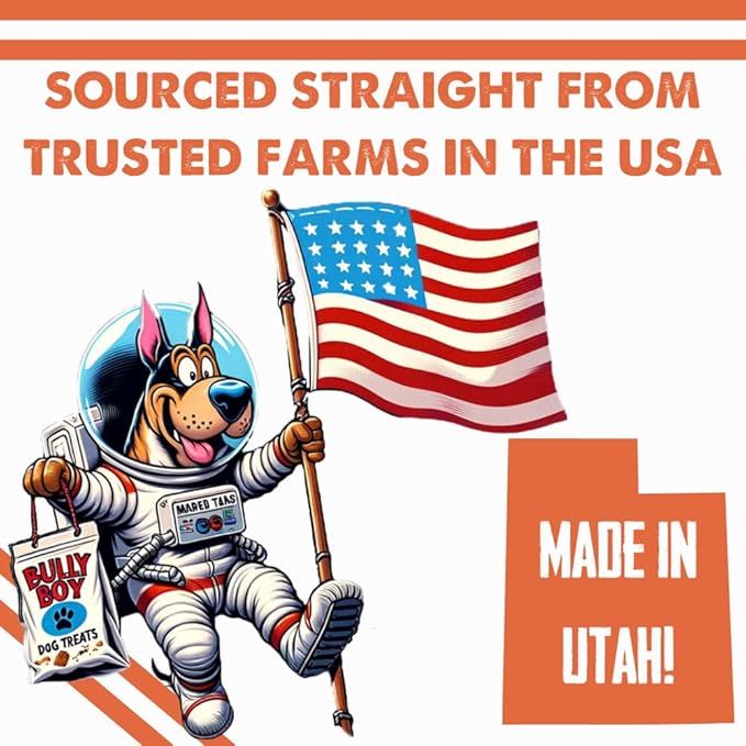 Bully Boy's Famous Chicken Training Nibs Dog Treats | Free from Wheat, Corn, Soy, or Gluten | USA Sourced Ingredients | with Smokehouse Chicken | Made in Utah | 15 oz - 3 Pack