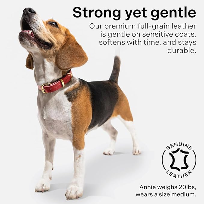 Classic Genuine Leather Dog Collar | Dog Collars for Medium Dogs, Small Dogs, Large Dogs & Extra Large Dog | Wide Dog Collar | Heavy Duty Dog Collar (Red, S: 0.5" Wide for 7.5"-10.5" Neck)