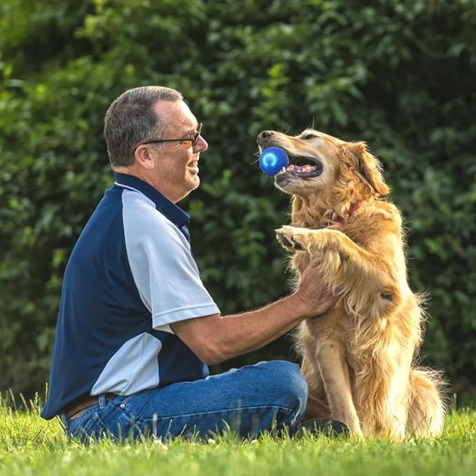2025 New Dog Ball for Large Dogs, 2PCS Interactive Dog Ball Toy Vibrating Balls, Smart Shaking Pet Bounce Electric Balls Automatic Moving Pet Toy for All Dogs (A1+A2)