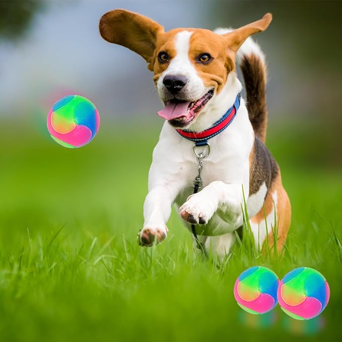 FineInno 2 pcs Large Light Up Dog Balls Flashing Elastic Ball Bouncy Glow in The Dark Interactive Jumping Blinking Dog Ball Pet Toys for Golden Retriever,Labrador,Large Dogs