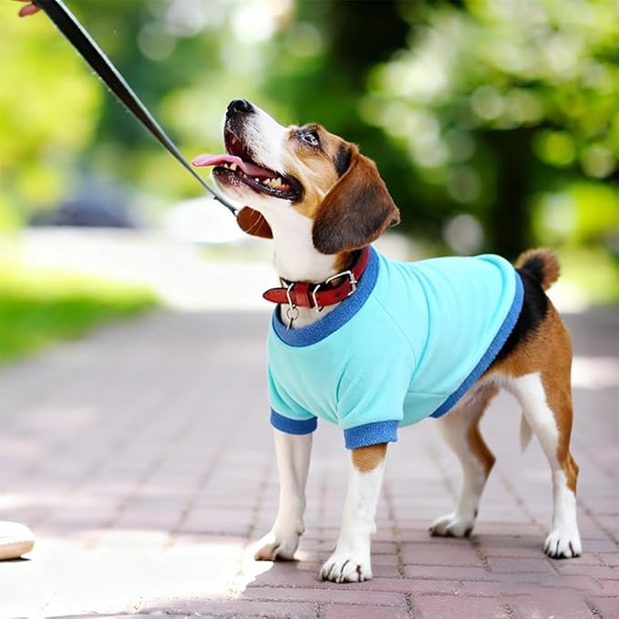 GreenJoy Classic Fleece Dog Sweater – Soft & Warm Stretchy Sweatshirt for Small Dogs & Cats, Cold-Weather Pullover for Everyday Wear (Light Blue, Small)