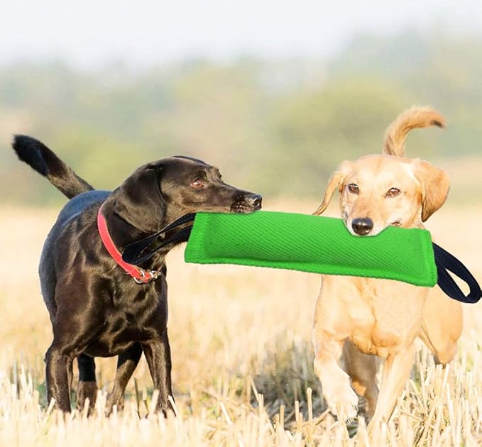 Clysoru Dog Tug Toy Dog，Double Pack Tough Jute Bite Pillow Training Equipment - Puppy to Large Dogs Interactive Toy.