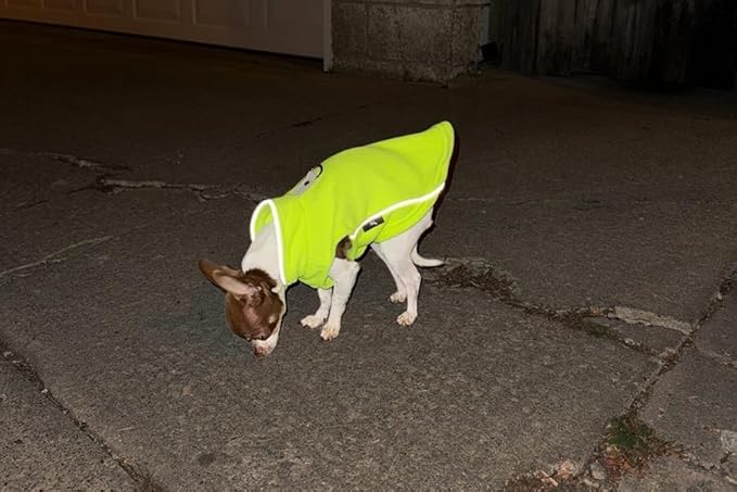JACKO & CO - Fleece Vest Dog Sweater with Leash Ring - Soft, Warm & Lightweight Pullover Coat for Small & Medium Dogs, Puppies & Cats - Cozy Fall/Winter/Spring Pet Jacket (Lime Green, XL 17-25lbs)