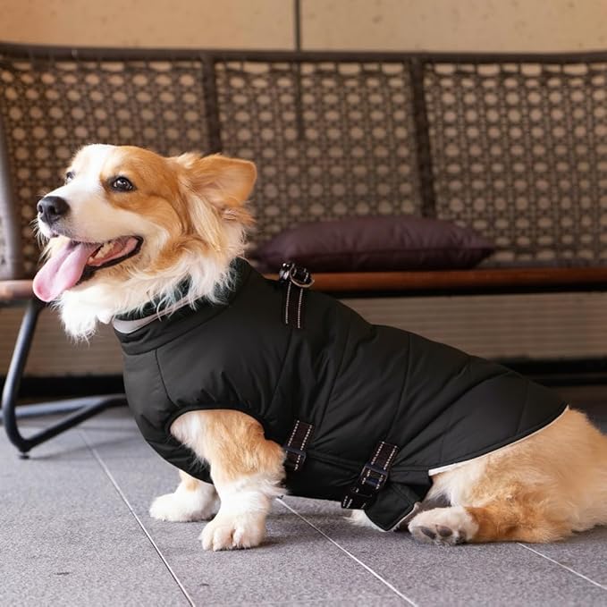 Large Dog Coat with Harness Built-in, Waterproof Reflective Fleece Lined - Warm Windproof Winter Jacket with Back Zipper, Cold Weather Snow Dog Coats - Black - XL