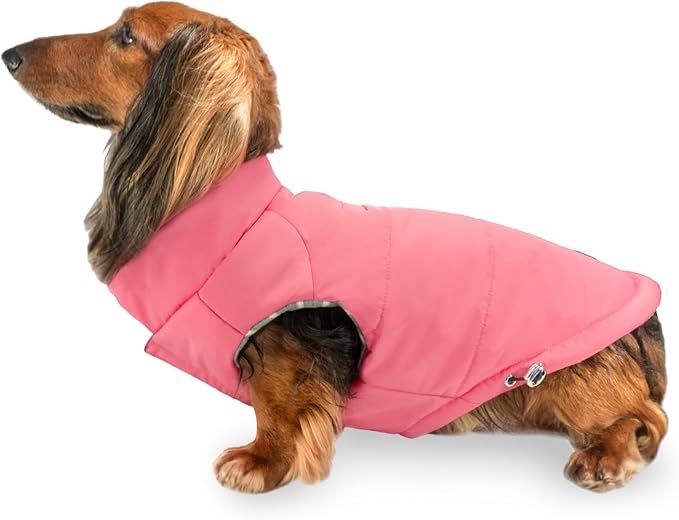 DJANGO Puffer Dog Coat – Warm Winter Dog Jacket & Water-Repellent Insulated Puffer Vest with Striped Lining, Harness Hole, Adjustable Fit for Small & Medium Dogs, Dachshunds – Rose Petal Pink, X-Small