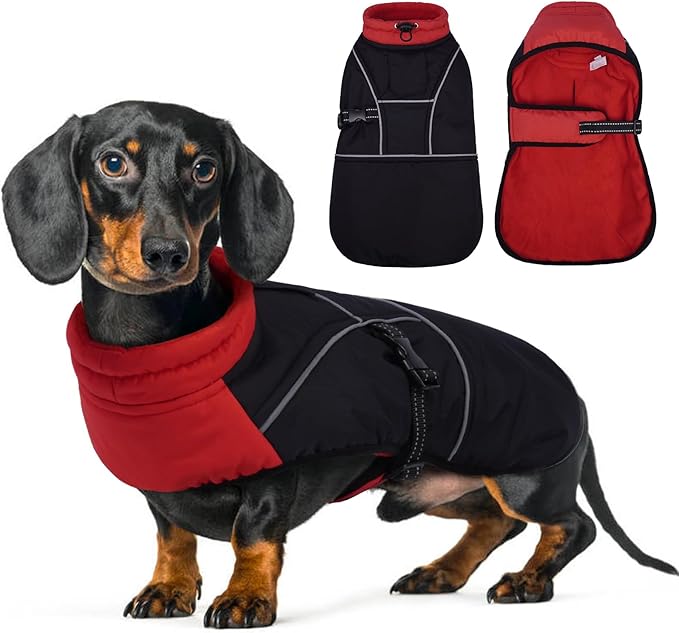 Lelepet Dachshund Coat Warm Dog Winter Coat Waterproof Dog Jacket with Fleece Lining, Reflective Outdoor Dachshund Snowsuit with Leash Hole Adjustable Neckline,Coats for Small Medium Dogs,Red, M
