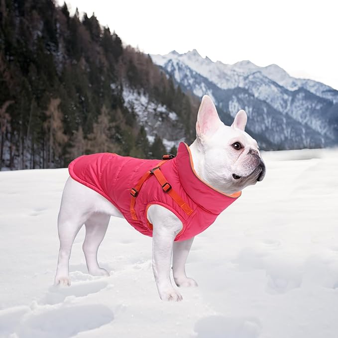 Geyecete Winter Warm Coat Waterproof Dog Winter Jacket with Harness Traction Belt,Windproof Pet Outdoor Jacket Dog Autumn-Pink-S