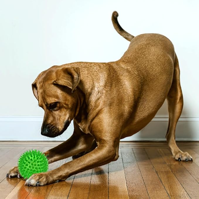 Cutie's PetBox Squeaky Rubber Spike Toy Ball for Medium, Large Dogs, 3-Colors Blue Green Yellow (3.5 Inch, Multi-Pack)