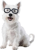 Namsan Clear Dog Goggles Small Breed, Anti-UV Sunglasses for Dogs Small Breeds, Windproof Riding Dog Eye Protection, Doggie Glasses with Elastic Straps, Easy Put-on/Adjustable, Transparent