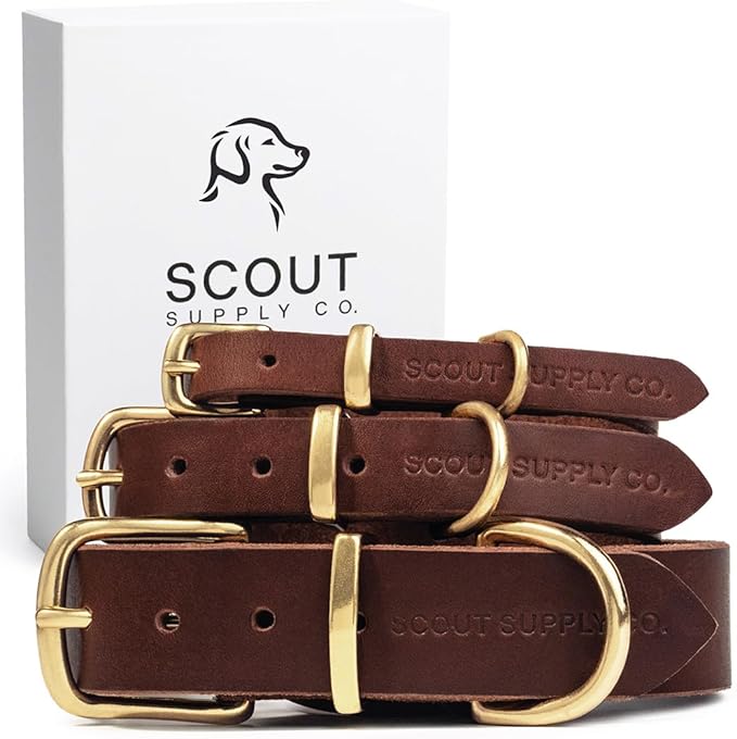 Classic Genuine Leather Dog Collar | Dog Collars for Medium Dogs, Small Dogs, Large Dogs & Extra Large Dog | Wide Dog Collar | Heavy Duty Dog Collar | Dark Brown (S: 0.8" Wide for 10.5"-13.5" Neck)