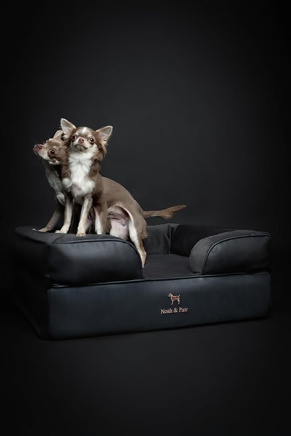NOAH & PAW Dog Bed, 28x23x11 Inch, Orthopedic Dog Beds for Medium Size Pets, Eggshell Memory Foam Infused with Cooling Gel, Inner Cover, Waterproof, Machine Washable (Faux Leather Sofa Collection)